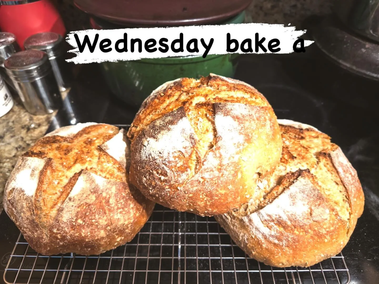 A big Wine Week calls for hearty bread made with @guinness and #oatmeal #sourdough