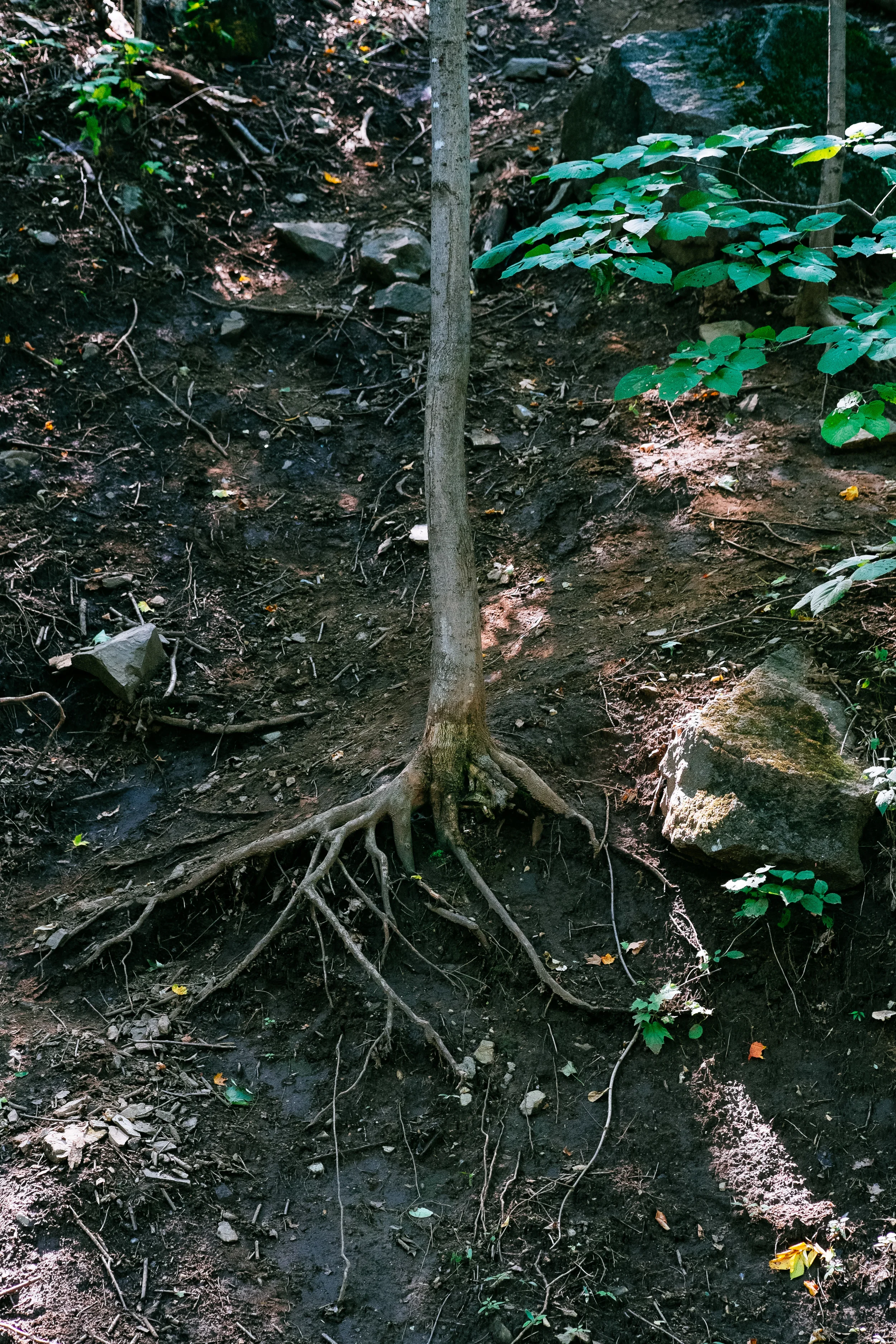 Places-36.jpg