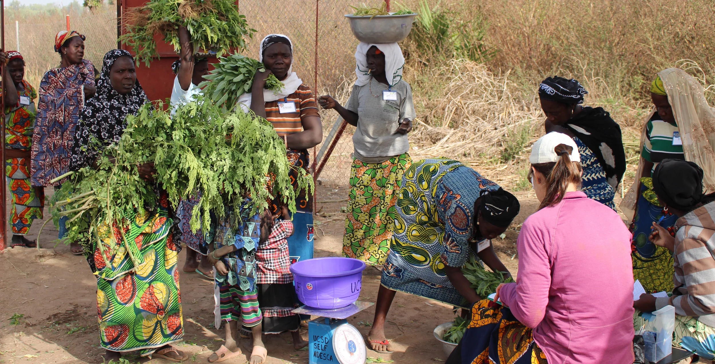 Garden Monitoring in Benin
