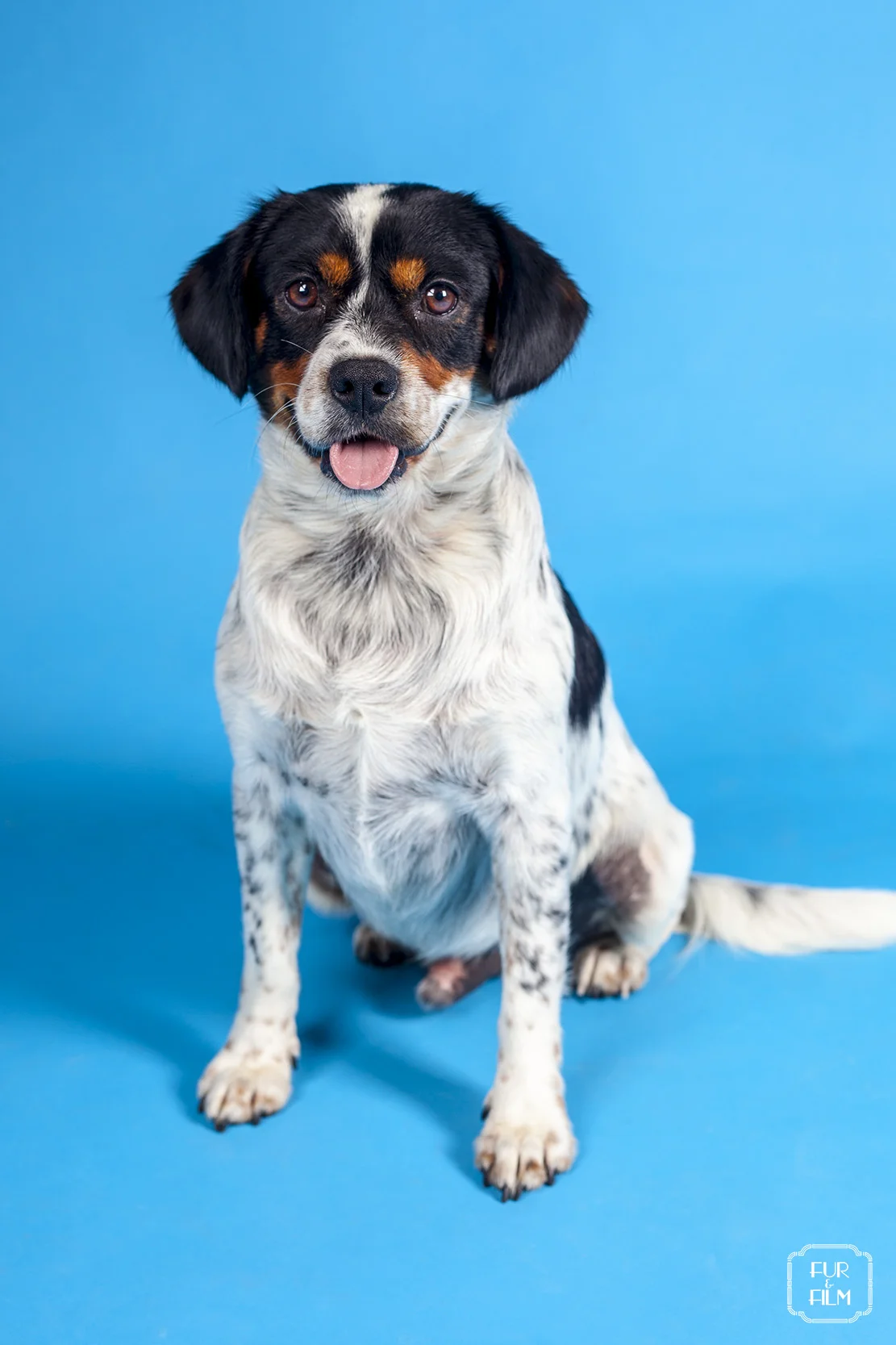 The Black Light - Buddy0602 Dec2014.jpg