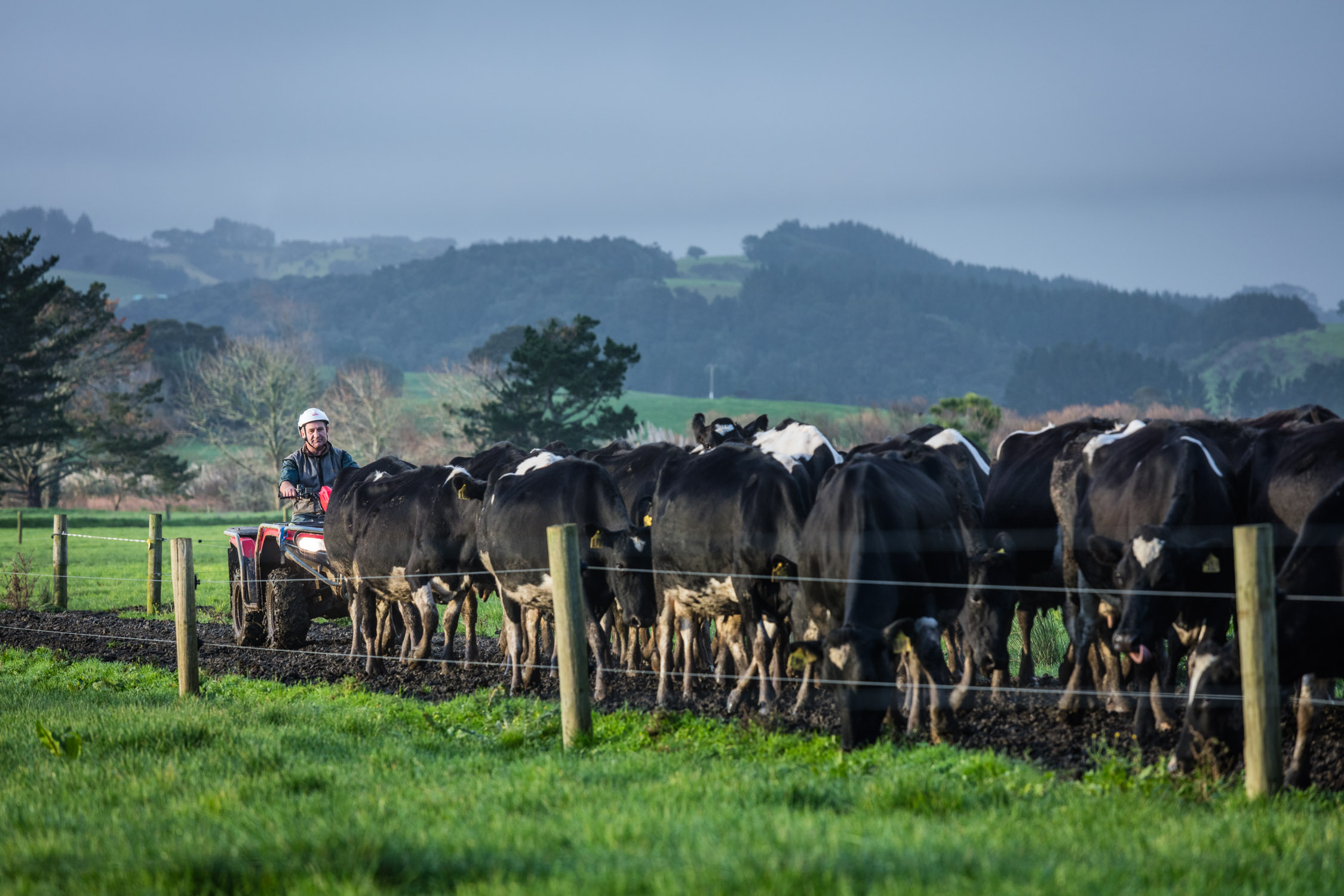 Farmer-Helensville-New Zealand-977_0E2A7705_0154-Edit.jpg