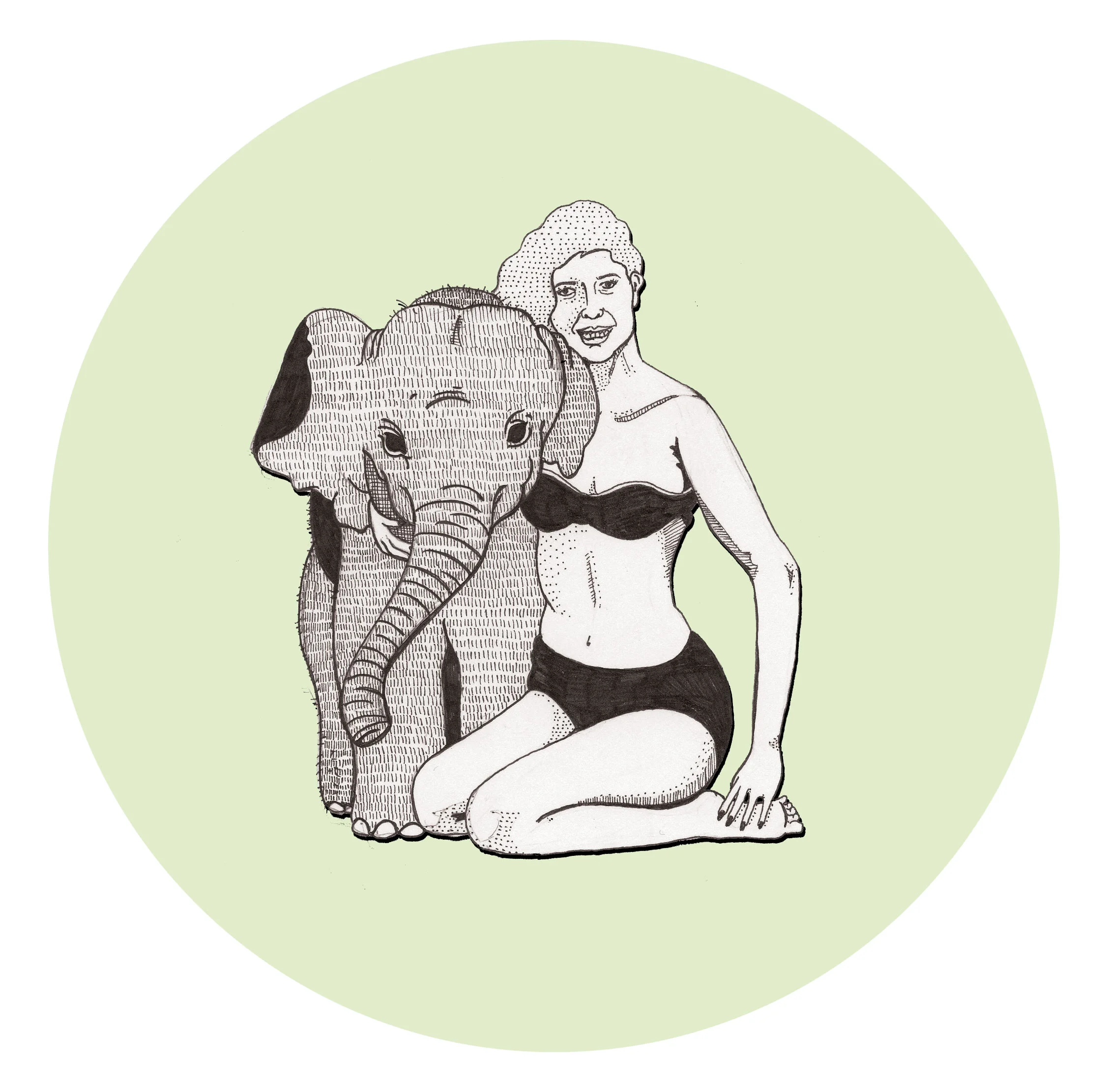 elephant.jpg