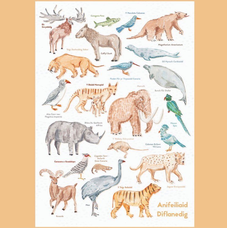 Poster Anifeiliaid Diflanedig

Extinct Animal Poster

Prints I ddod yn fuan!
Prints coming soon!

#etsyuk
.
.
.
.
.
.
#animals #extinct #extinctanimals #print #poster #cymraeg #cymru #cymro #cymraes #wales #welsh #welshlanguage #watercolour #painting