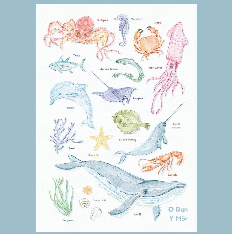 O Dan Y M&ocirc;r

Under The Sea 

Prints I ddod yn fuan!
Prints coming soon!

#etsyuk
.
.
.
.
.
.
#animals #extinct #extinctanimals #print #poster #cymraeg #cymru #cymro #cymraes #wales #welsh #welshlanguage #watercolour #painting #watercolourpainti