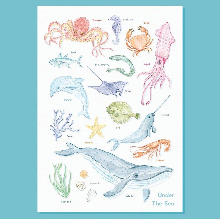 Under the Sea
A3 Illustrated Poster Prints
Available online (link in bio)
#etsyuk
.
.
.
.
.
.
#fish #underthesea #sea #print #poster #drawing #draw #whales #fishes  #watercolour #painting #watercolourpainting #watercolor #watercolourart #animals  #sm