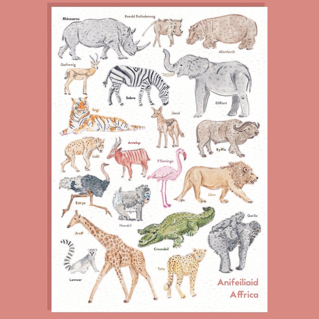 Anifeiliaid Affrica 
 

Prints ar gael nawr!
.
.
.
.
.
.
#africa #animals #africananimals #print #poster #cymraeg #cymru #cymro #cymraes #wales #welsh #welshlanguage #watercolour #painting #watercolourpainting #watercolor #watercolourart #anifeiliaid