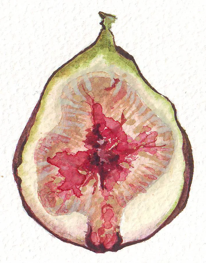 Fig inside.JPG