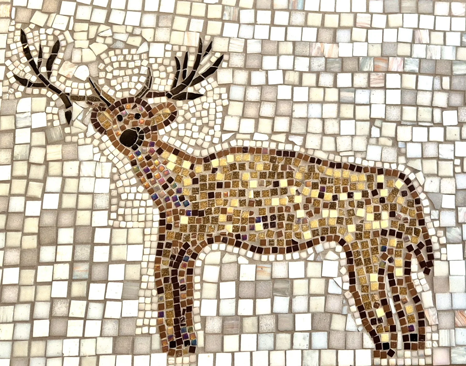 Deer.jpg