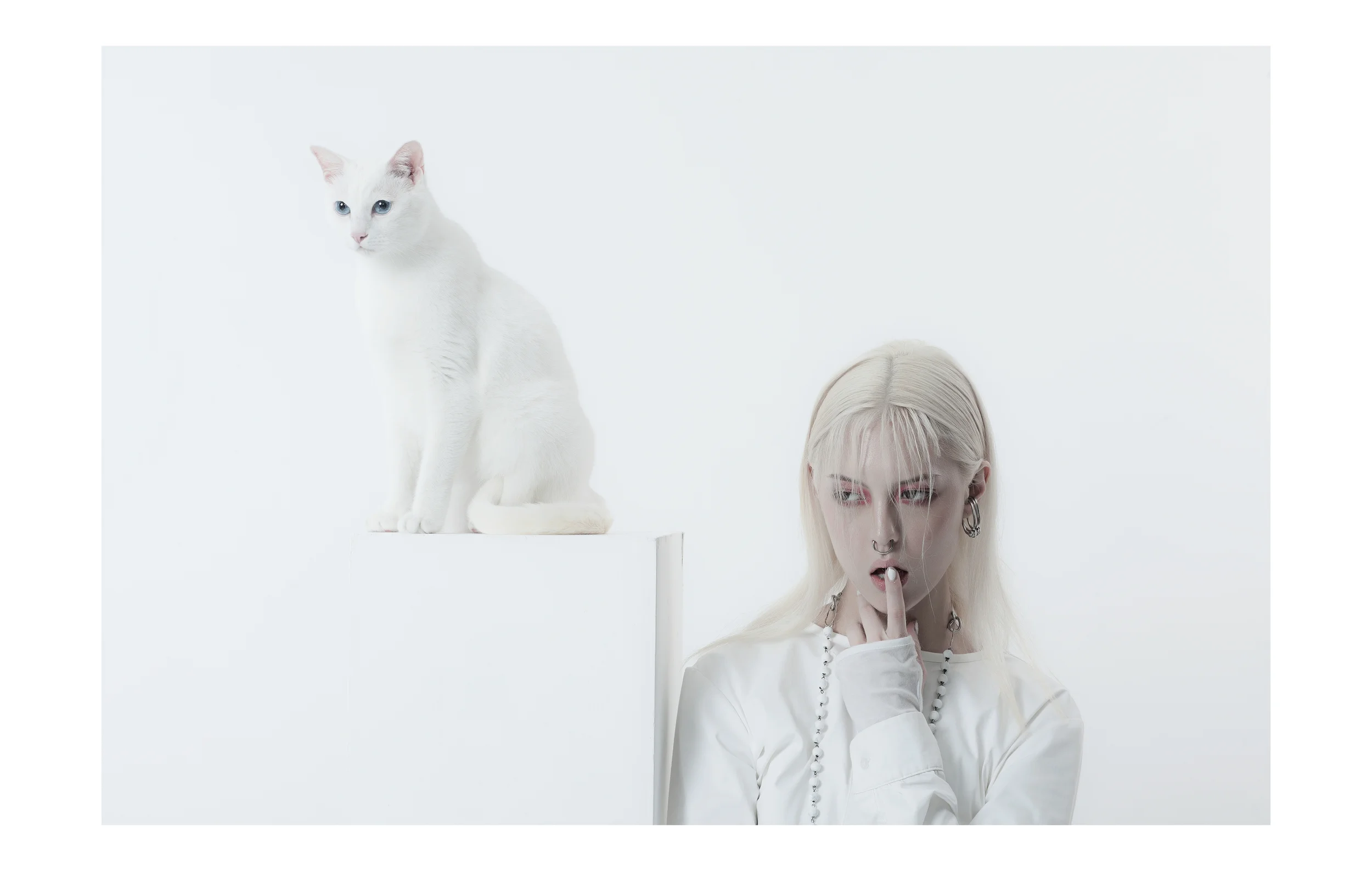 Handicap_Minimal_FullRes __ 8.jpg