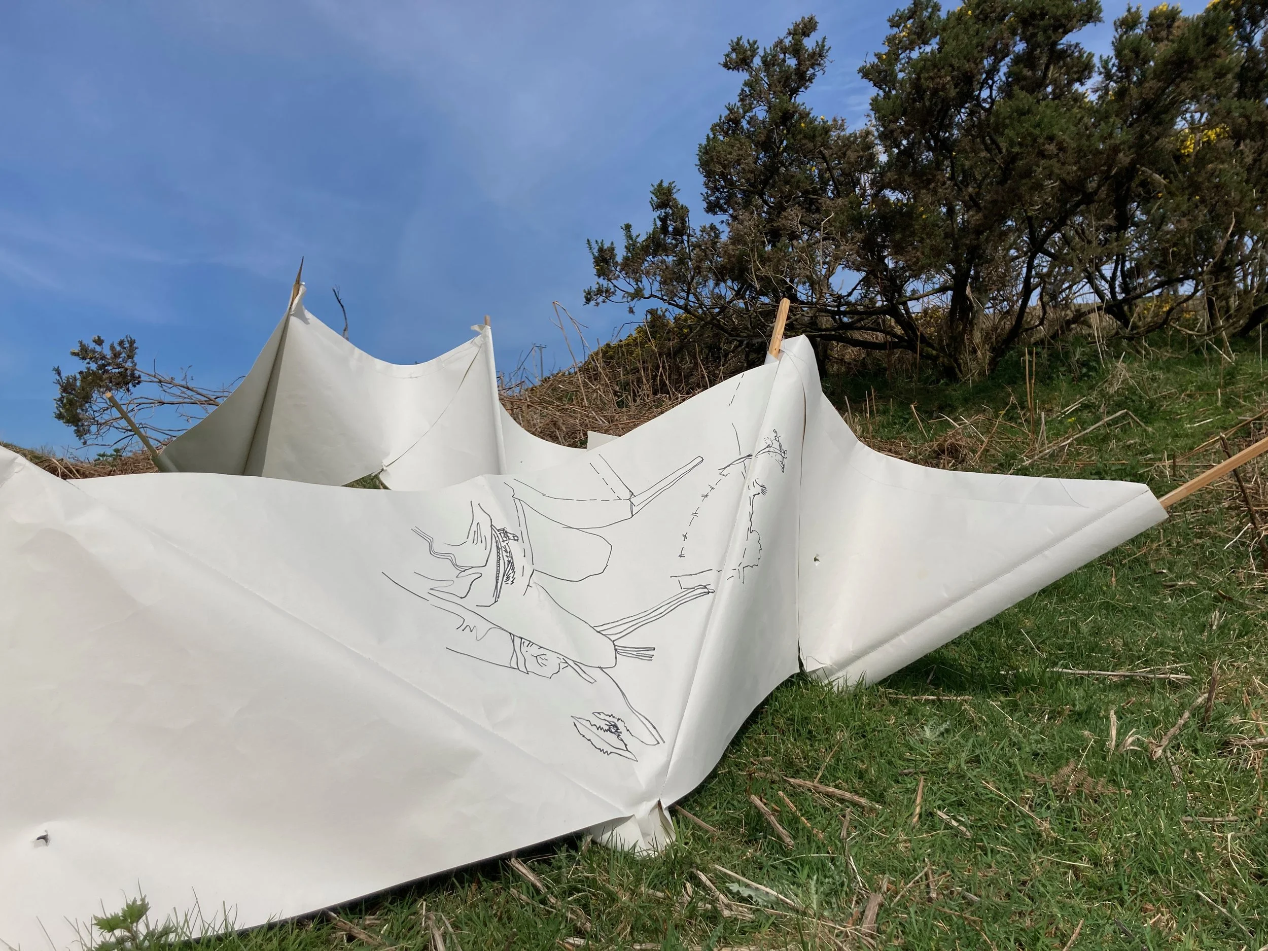 zig zag blue sky.jpeg