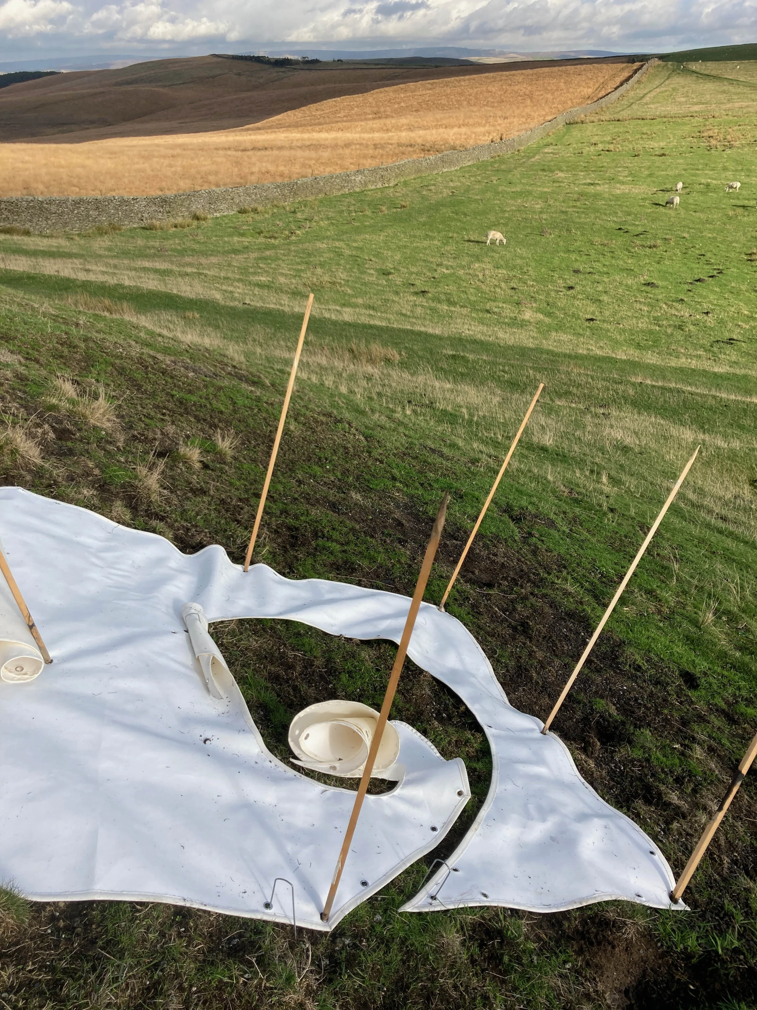 devel leatherette in situ outdoors.jpg