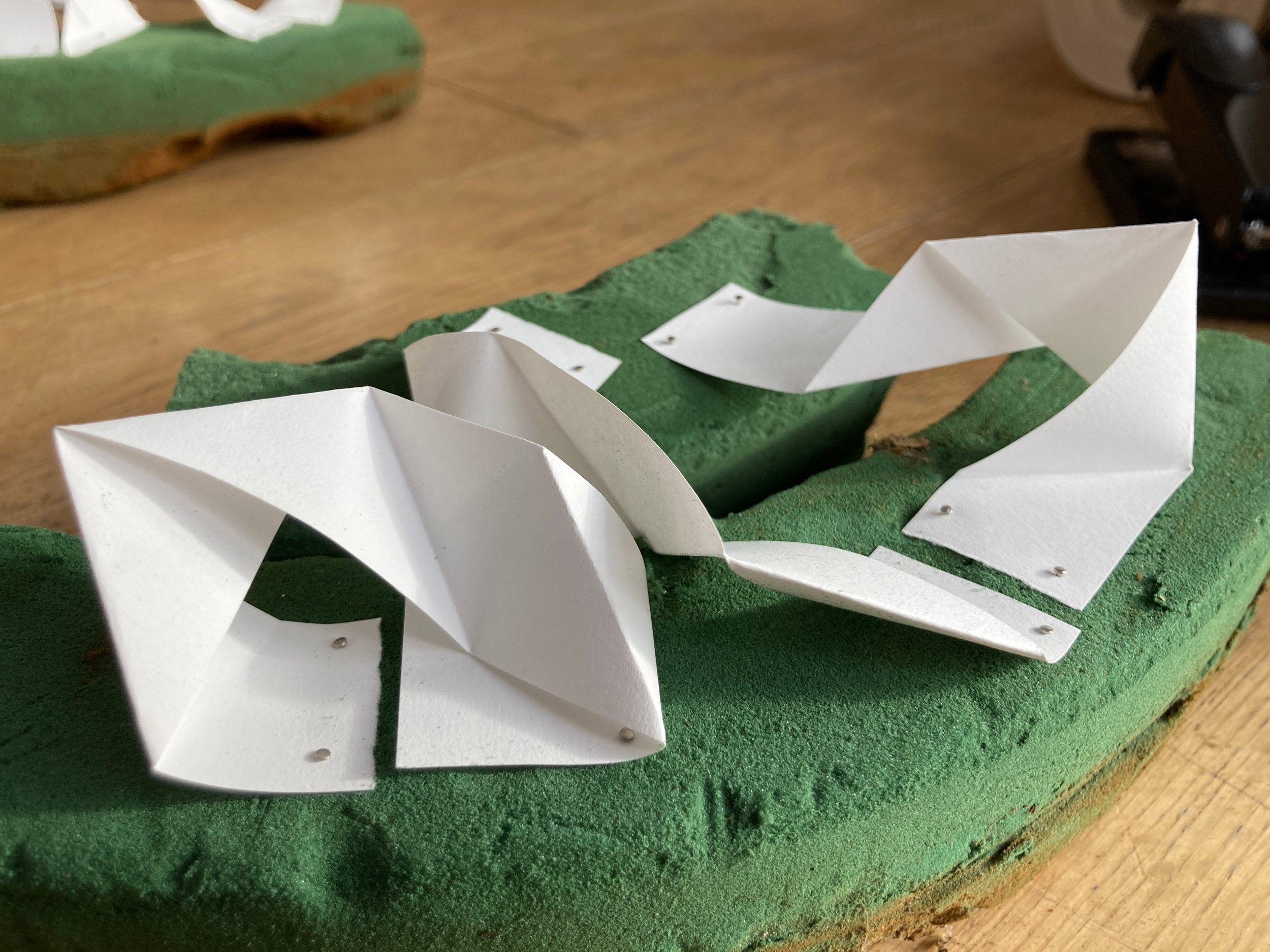 develop zig zags on green .jpg