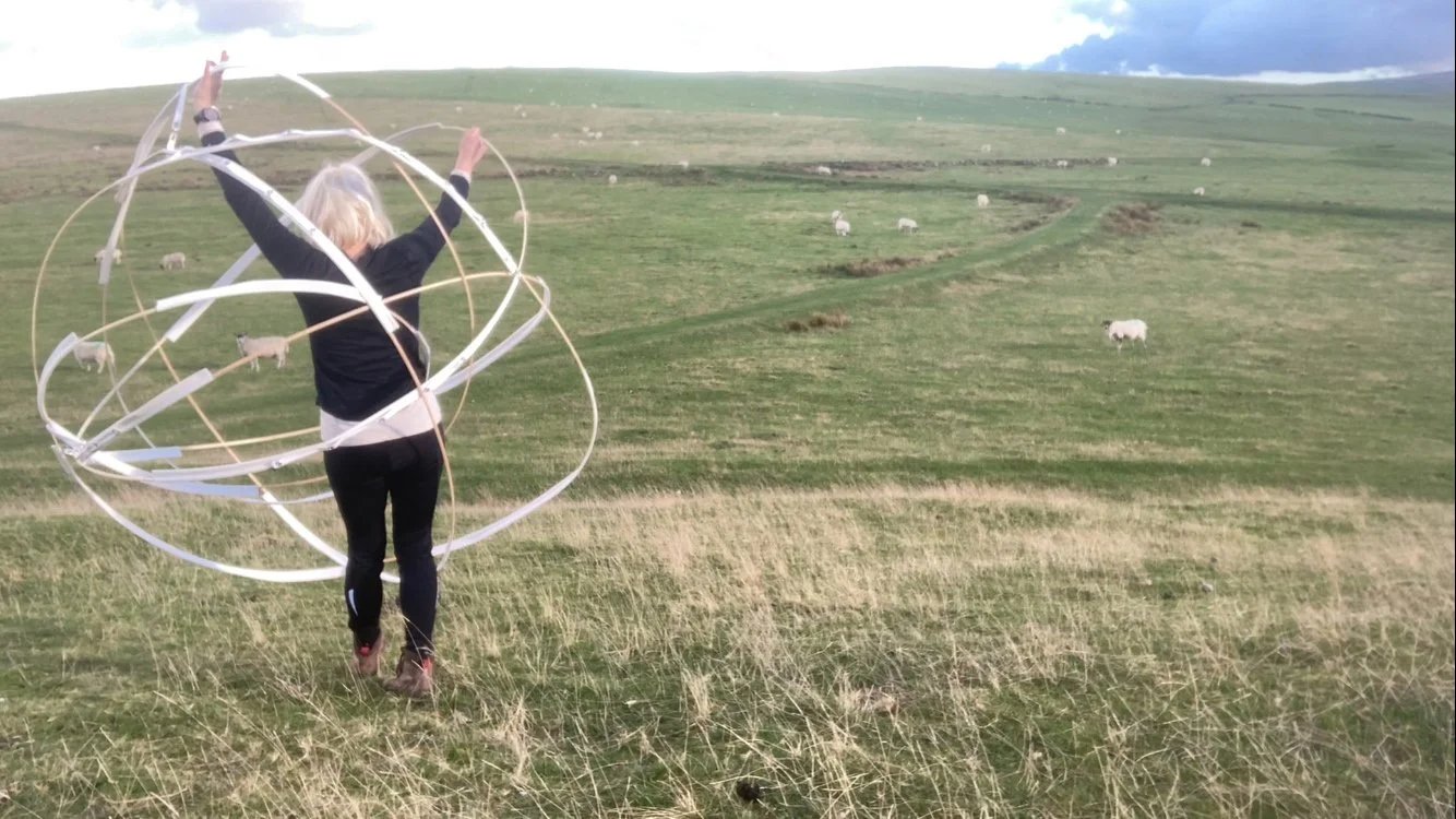 circles sheep inside.jpg
