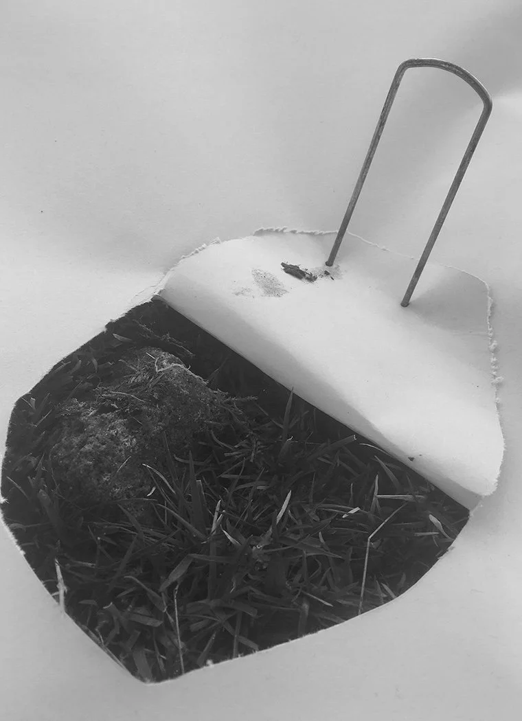 hole .jpg