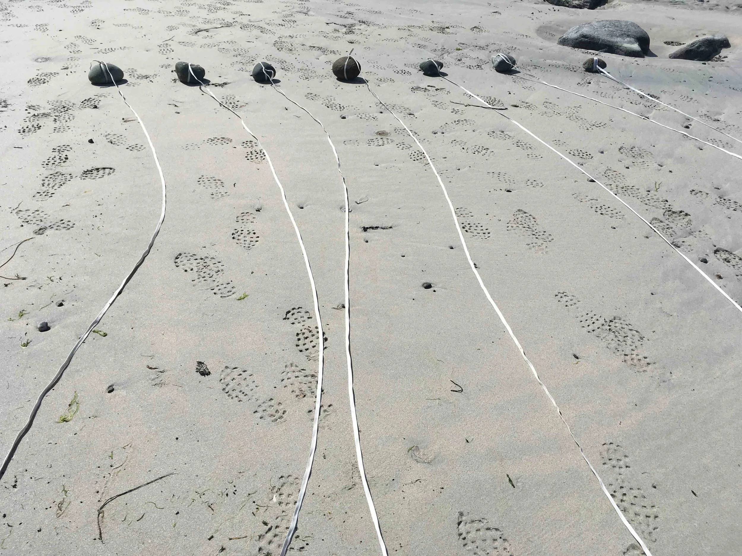 stone and line.jpg