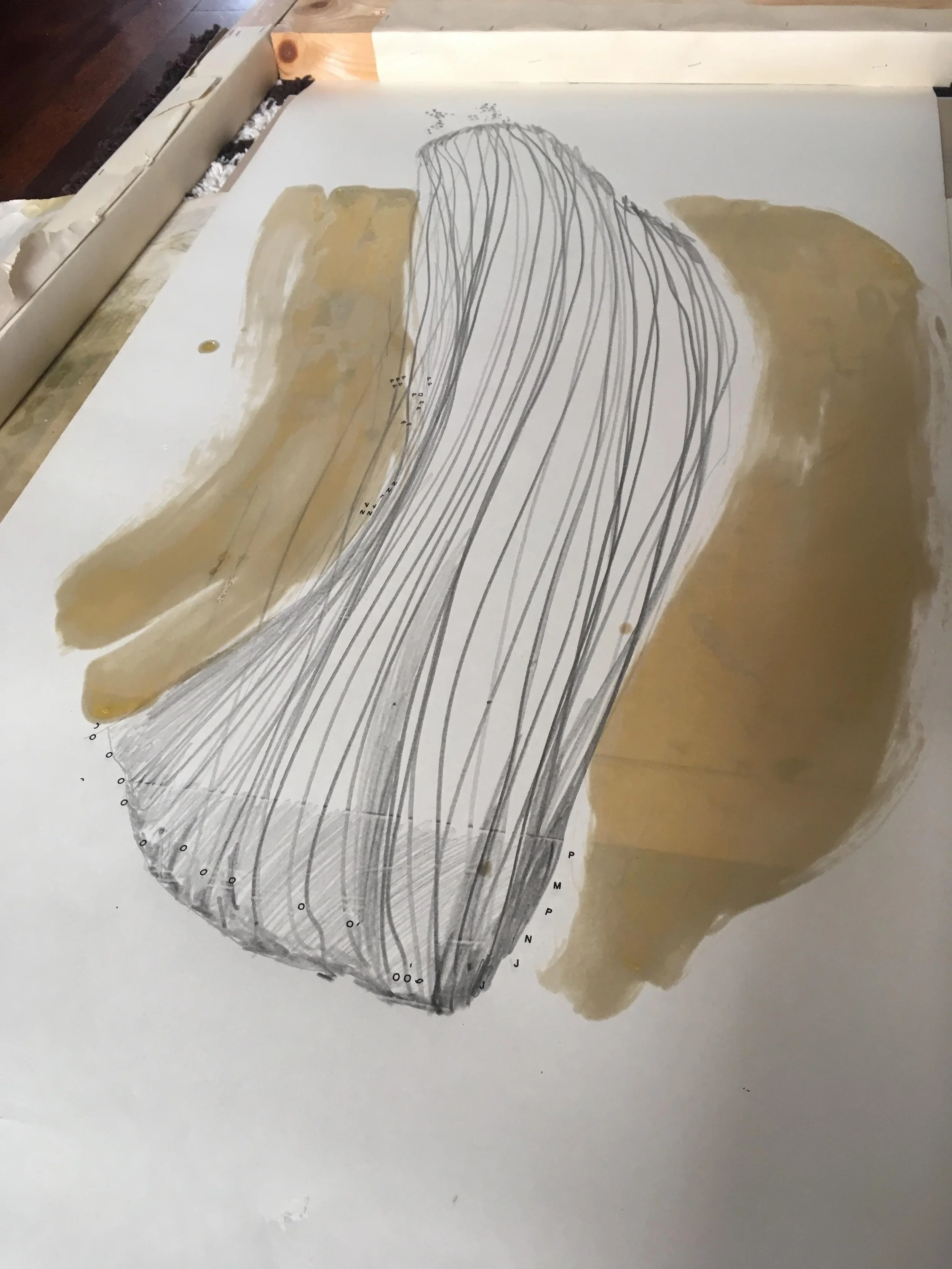 oil marks.jpg