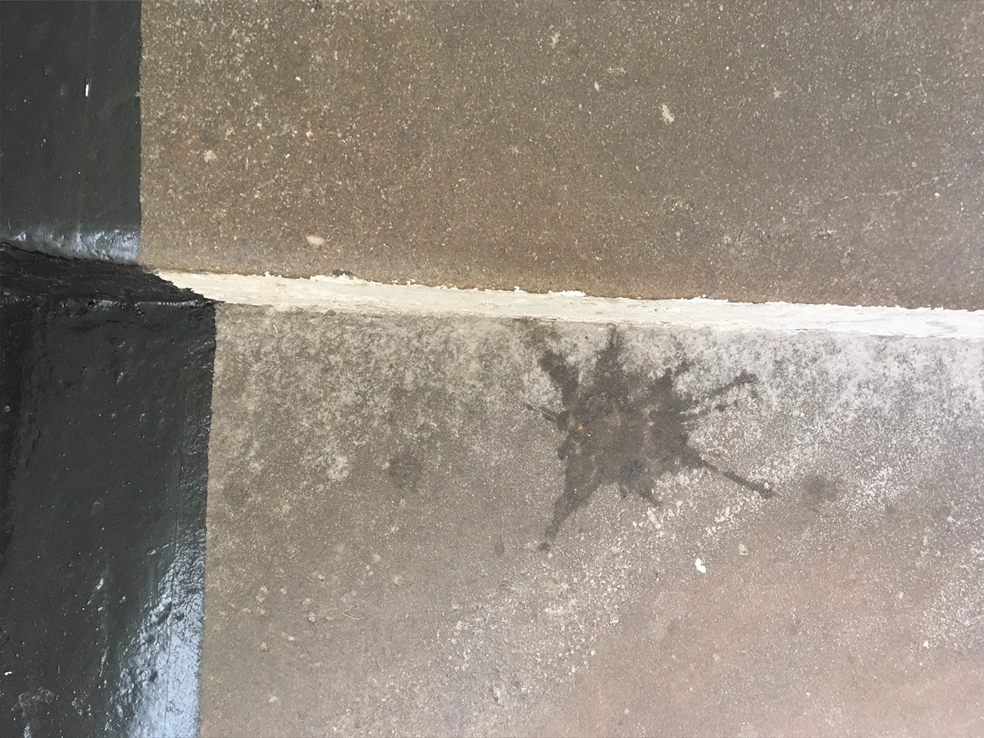 step splash.jpg