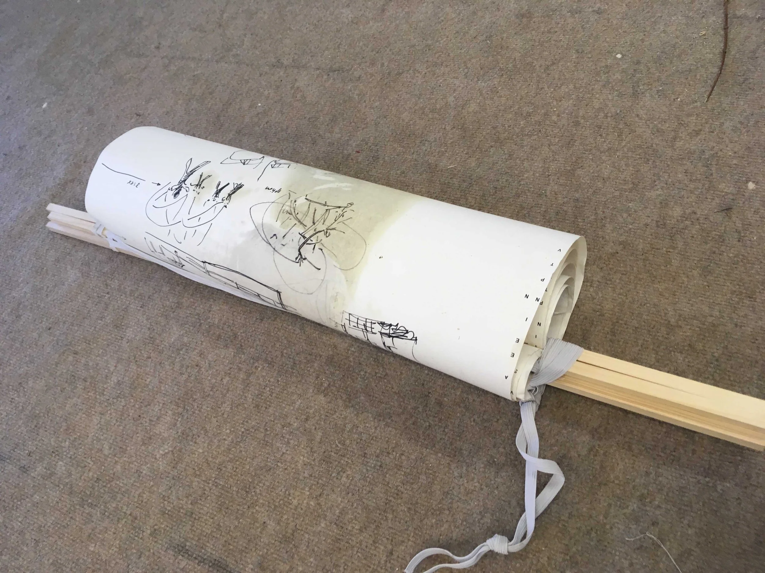 bird scroll image.jpg