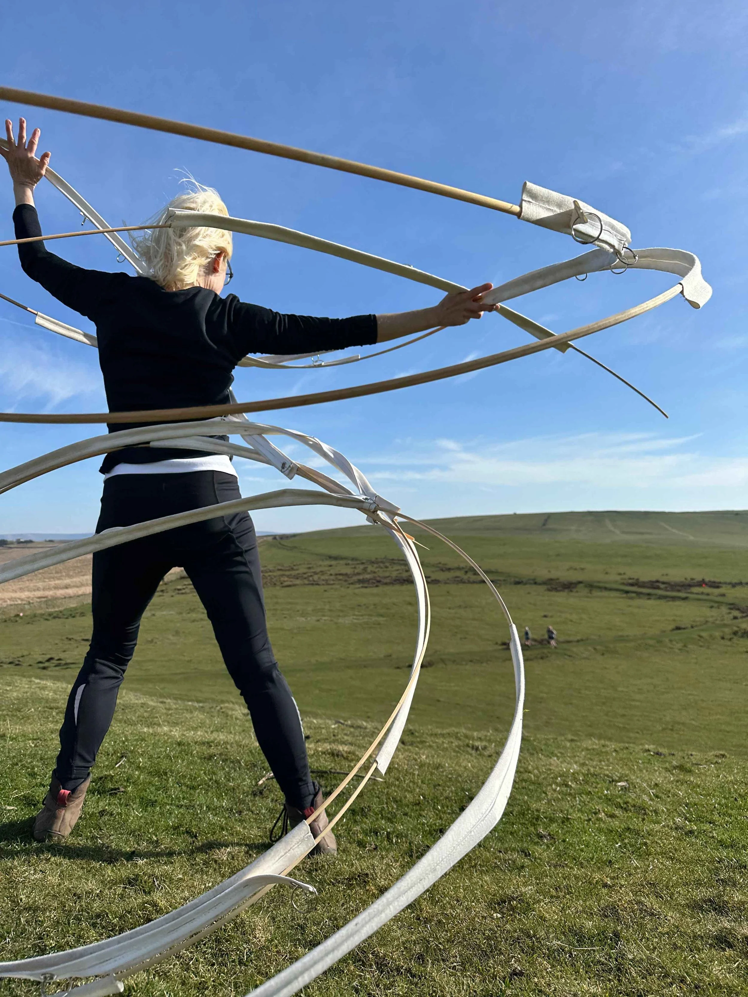 flowing circle in landsc from beh.jpg