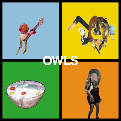 owls2.jpeg
