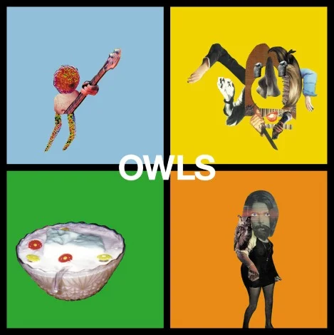 owls2.jpeg