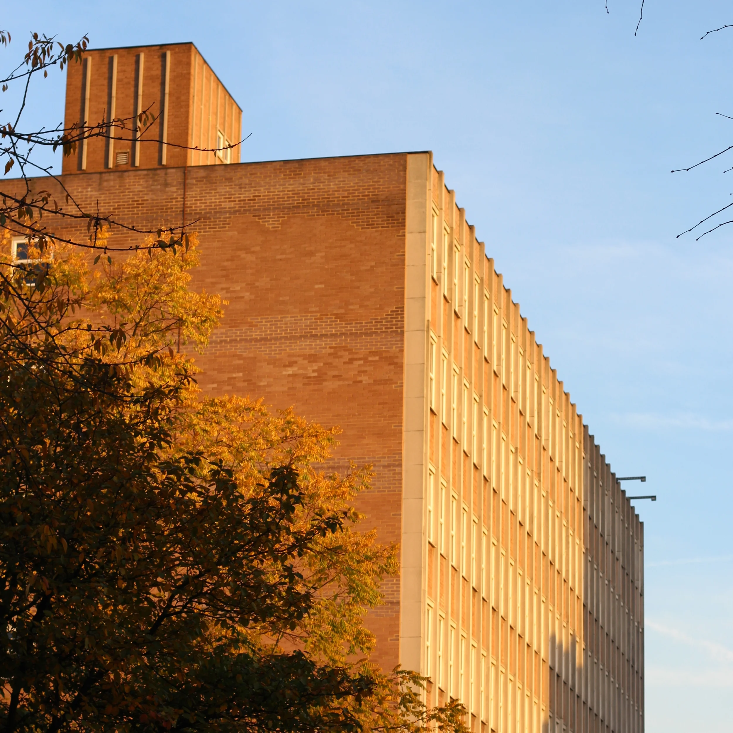 Dear RIBA, give students the vote.