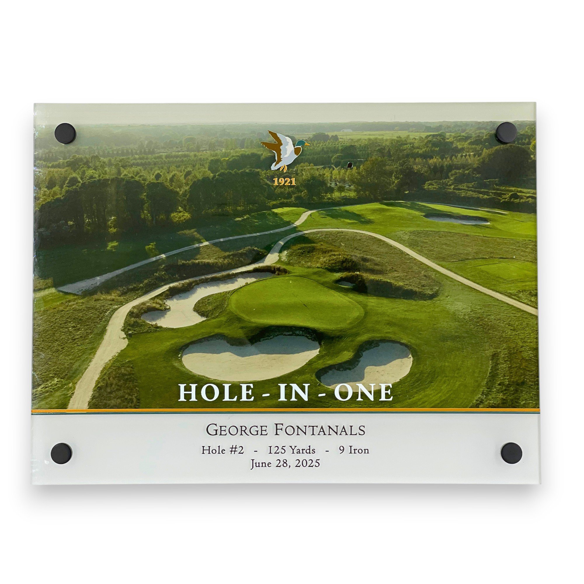 FreeStandingHIOAward