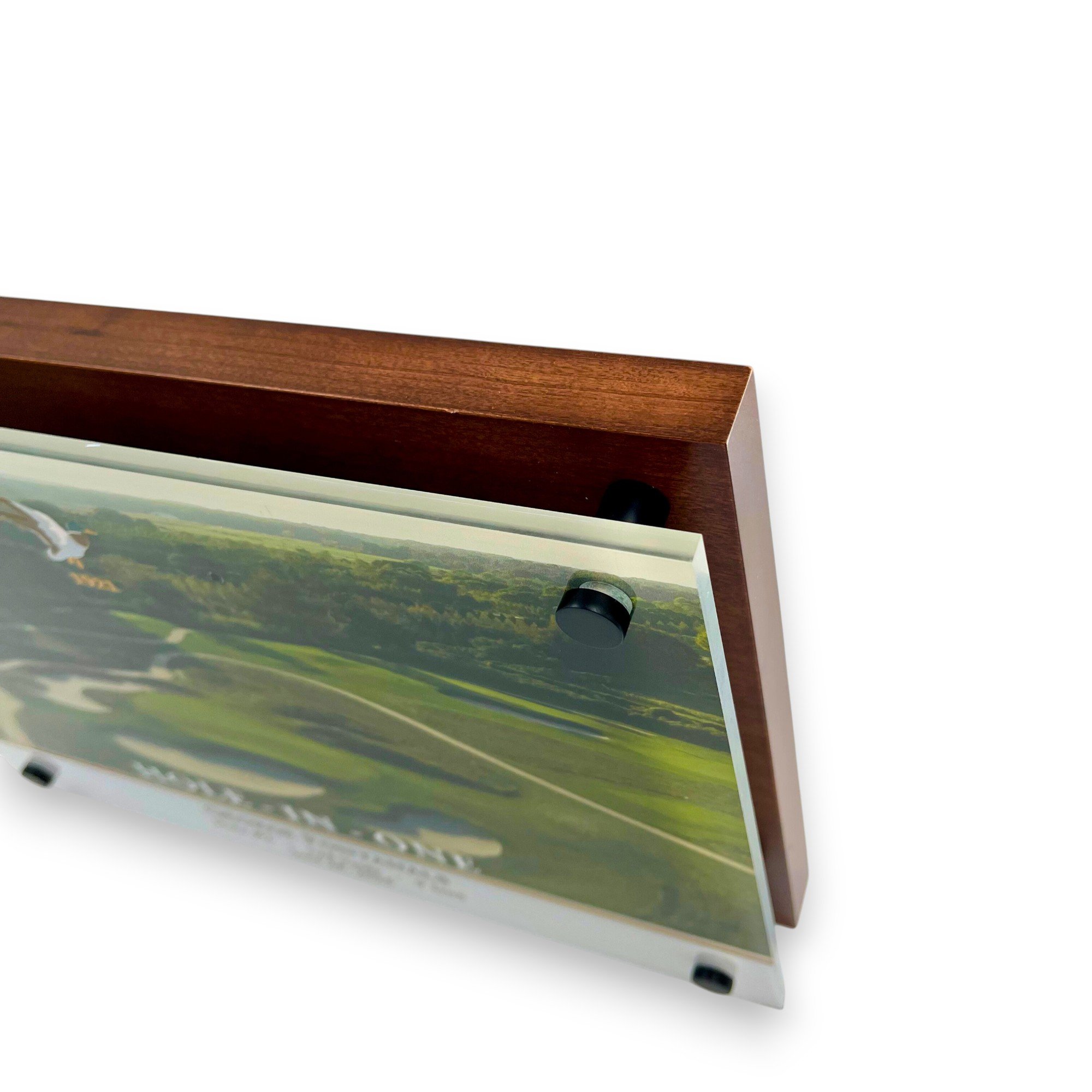 FreeStandingHIOAward