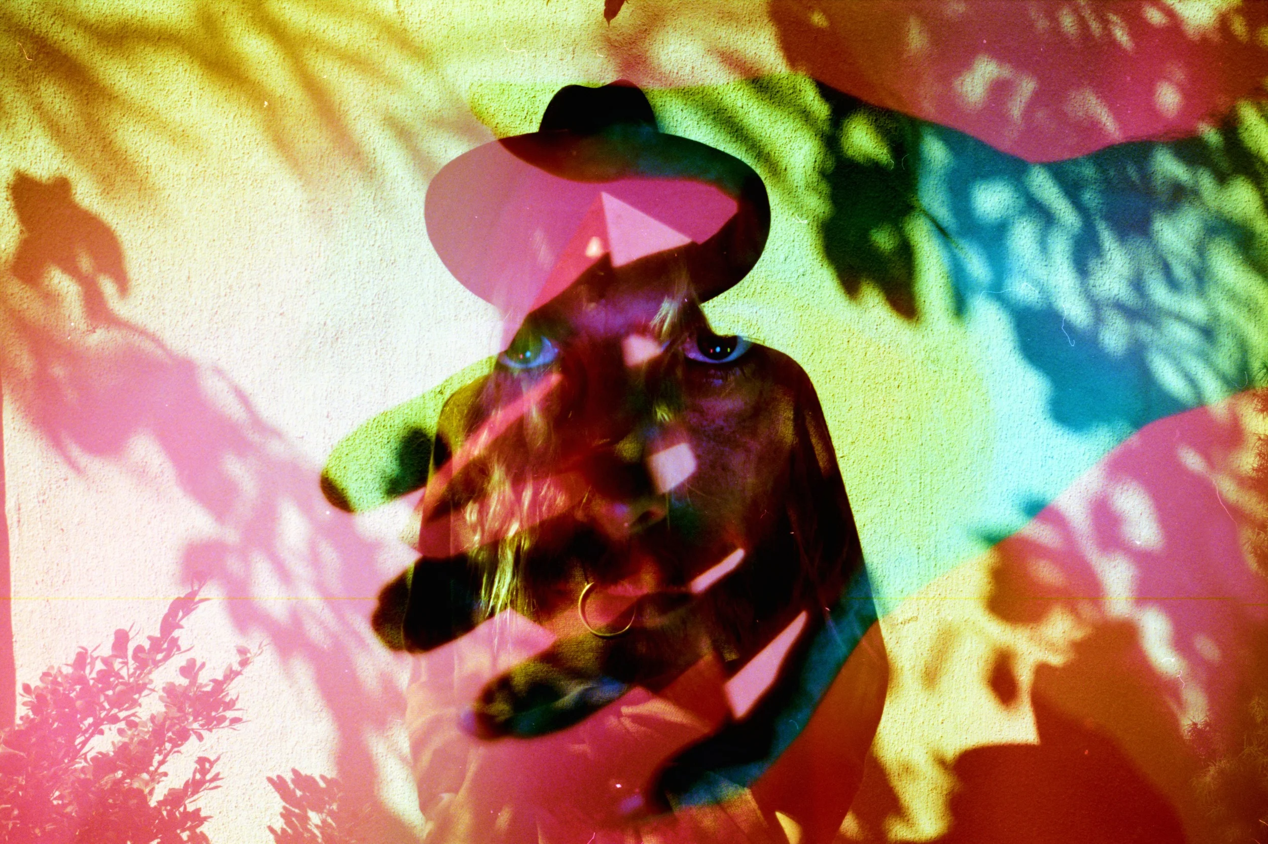 Photo : Emily Rose Theobald