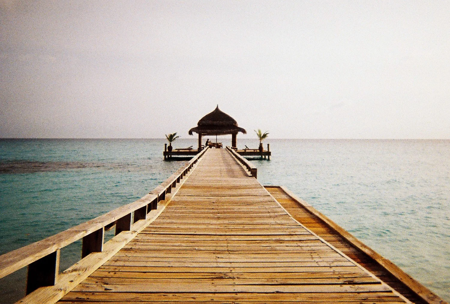 Holiday