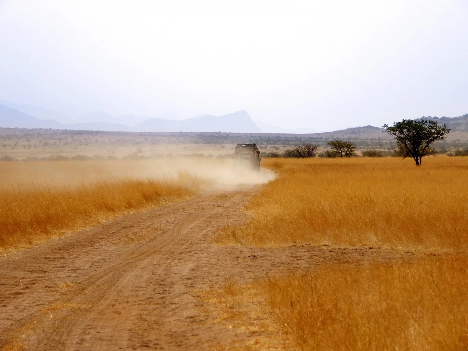 Don't be left in the Mobilegeddon dust