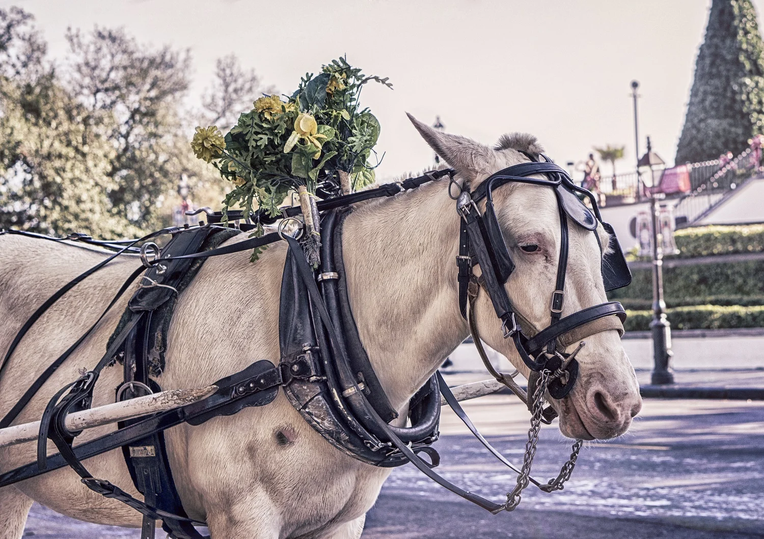 Keep the blinkers off on social media