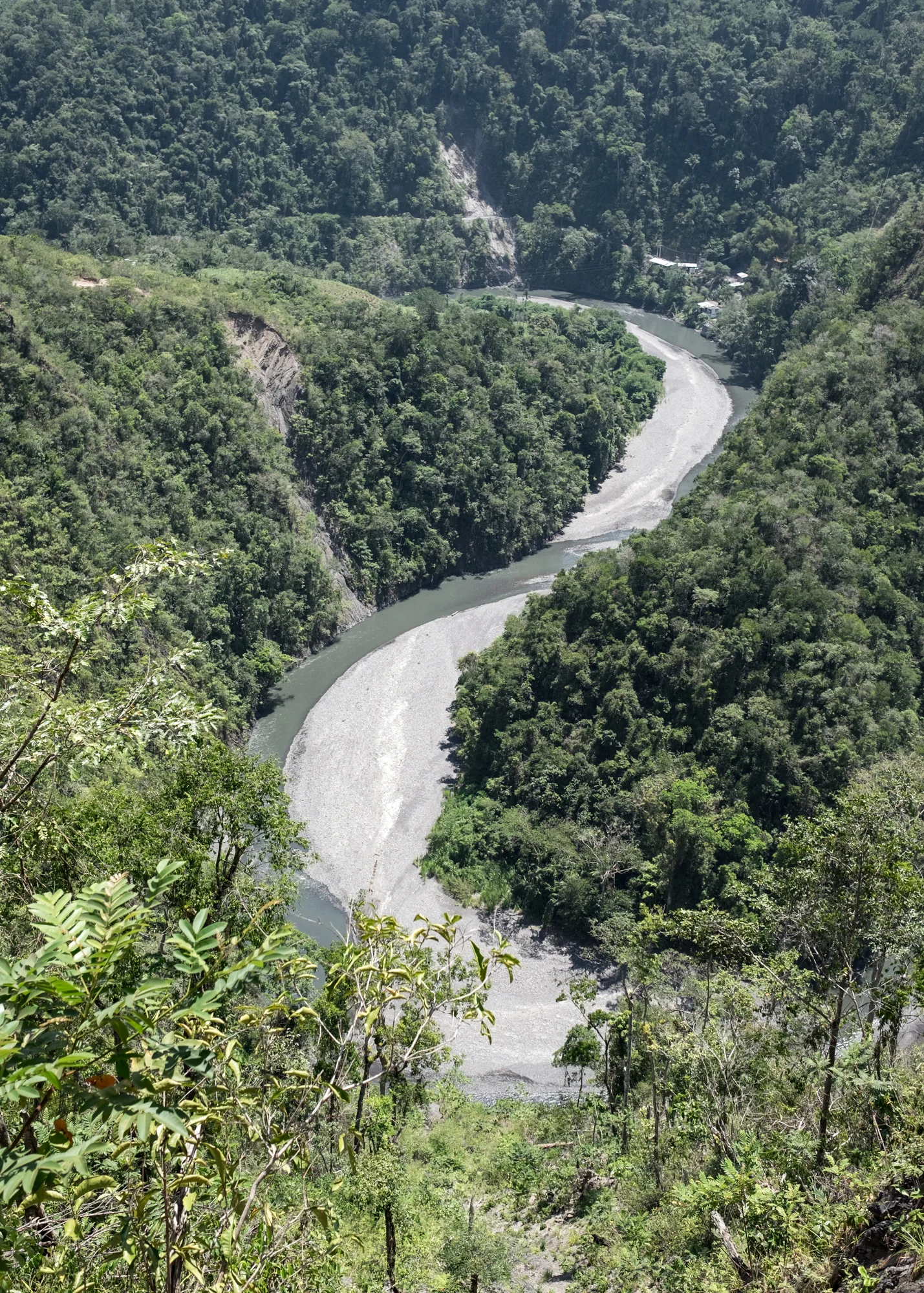 DSCF4139.jpg