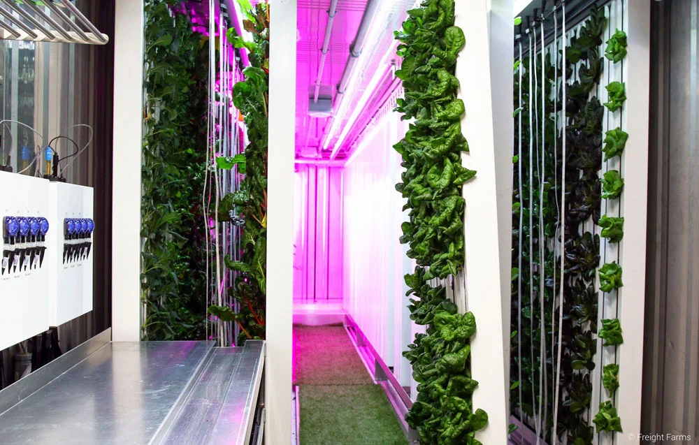 Freight-Farms-Innovative-Farming-Agriculture-Technology-Visual-Atelier-8-5.jpg