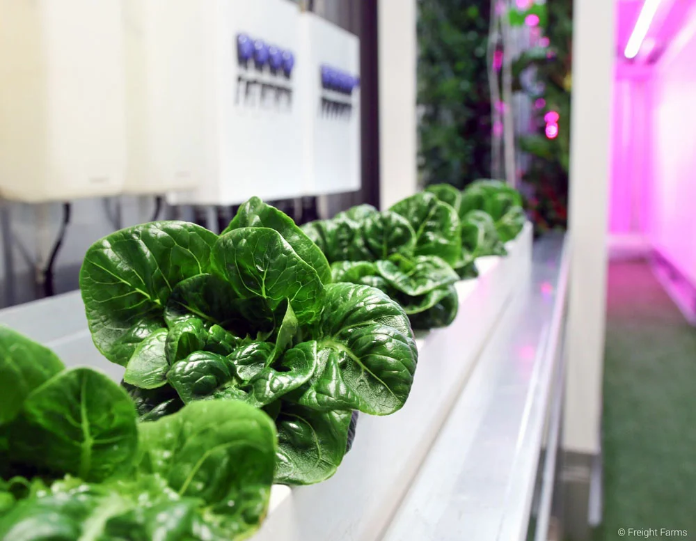 Freight-Farms-Innovative-Farming-Agriculture-Technology-Visual-Atelier-8-2.jpg