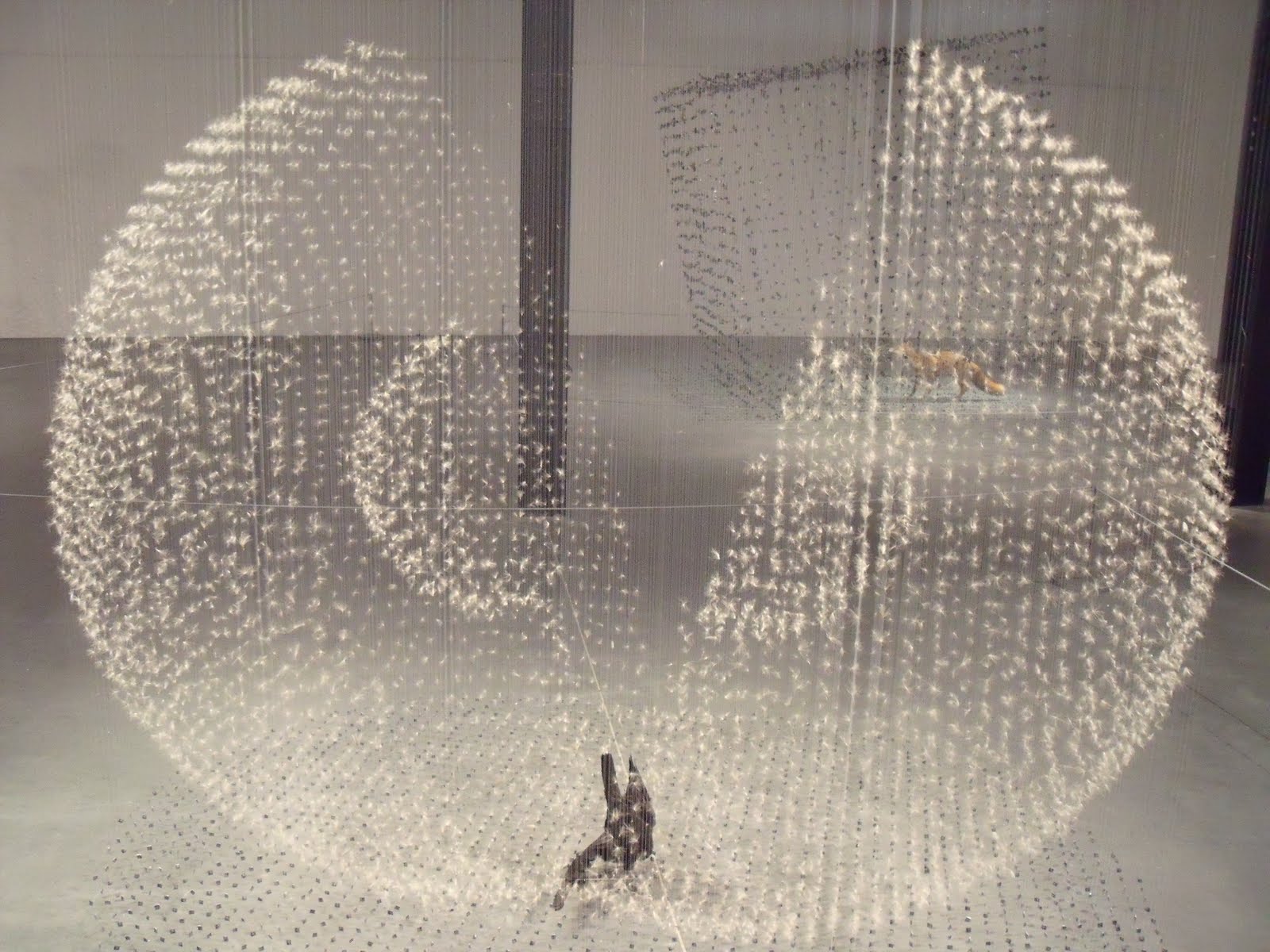 Claire Morgan-Visual Atelier 8-Sculpture-Art-3.jpg