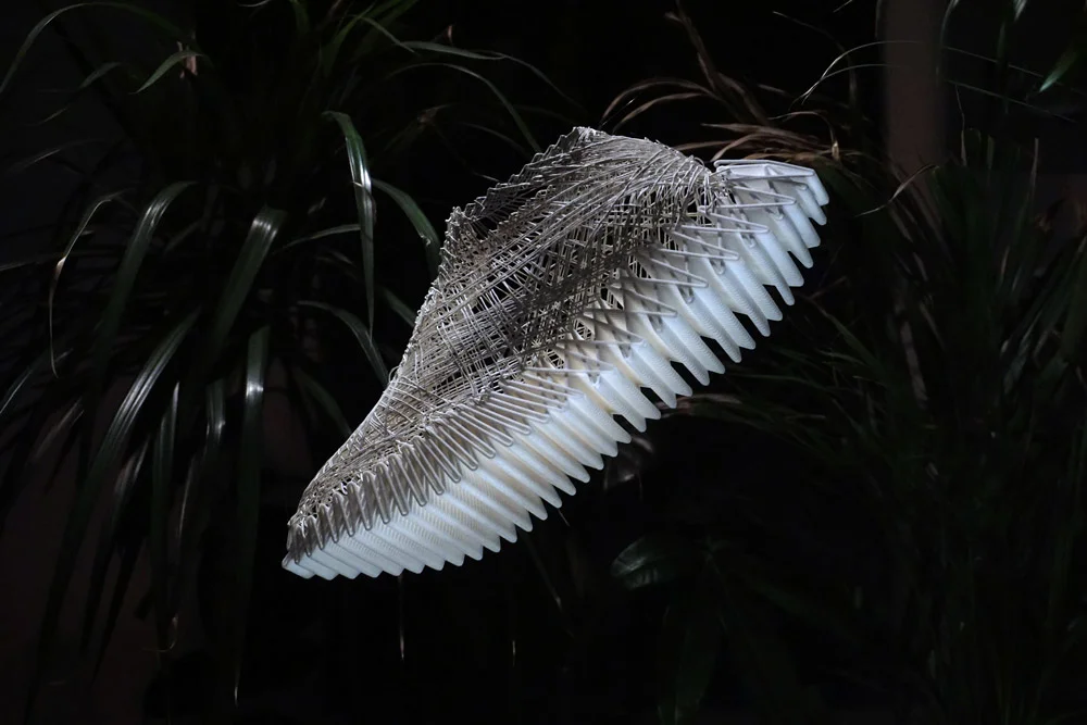 Image: Martin Sallieres