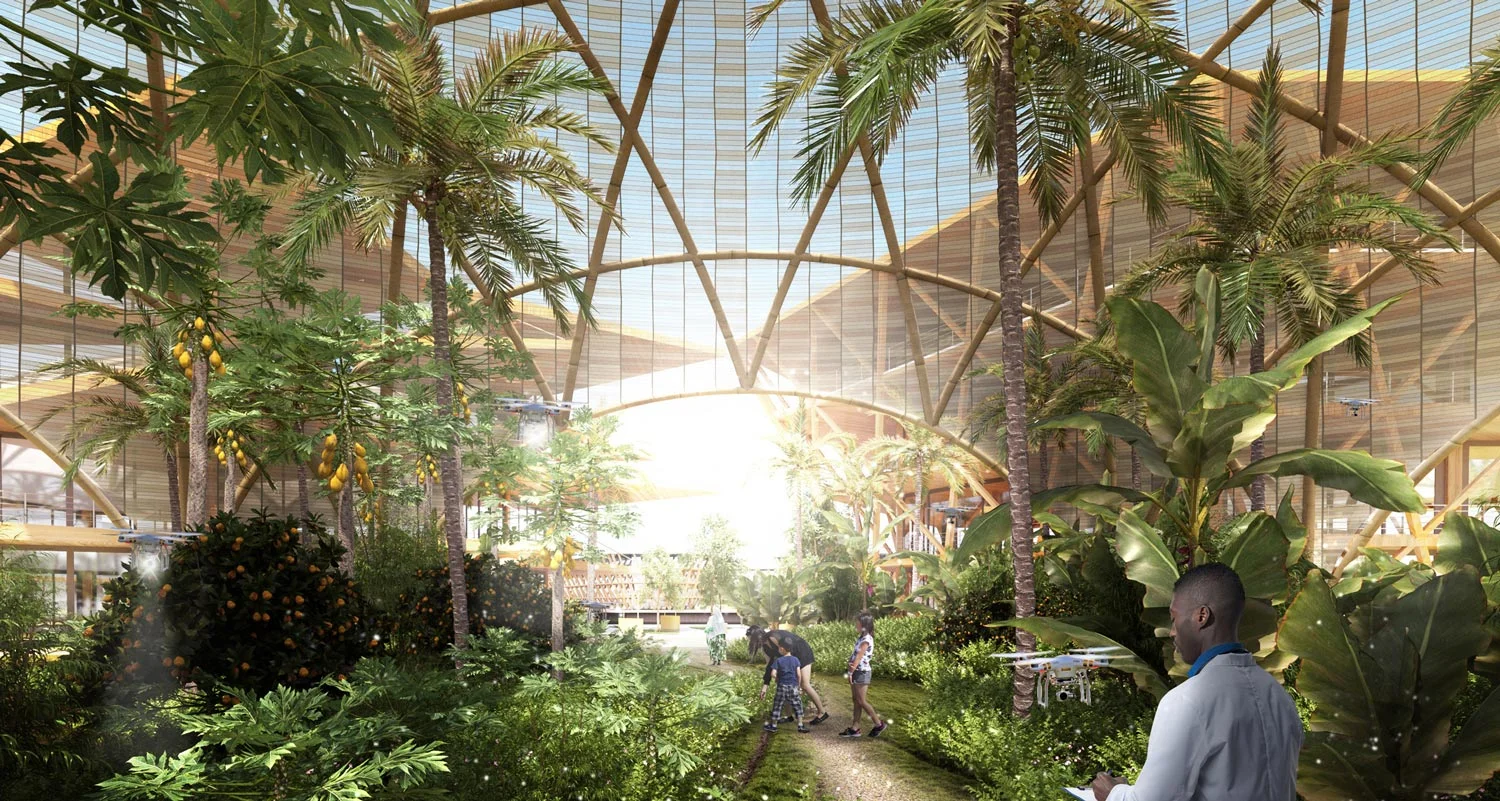 oceanix-city-floating-big-un-habitat-mit_dezeen_2364_col_8.jpg