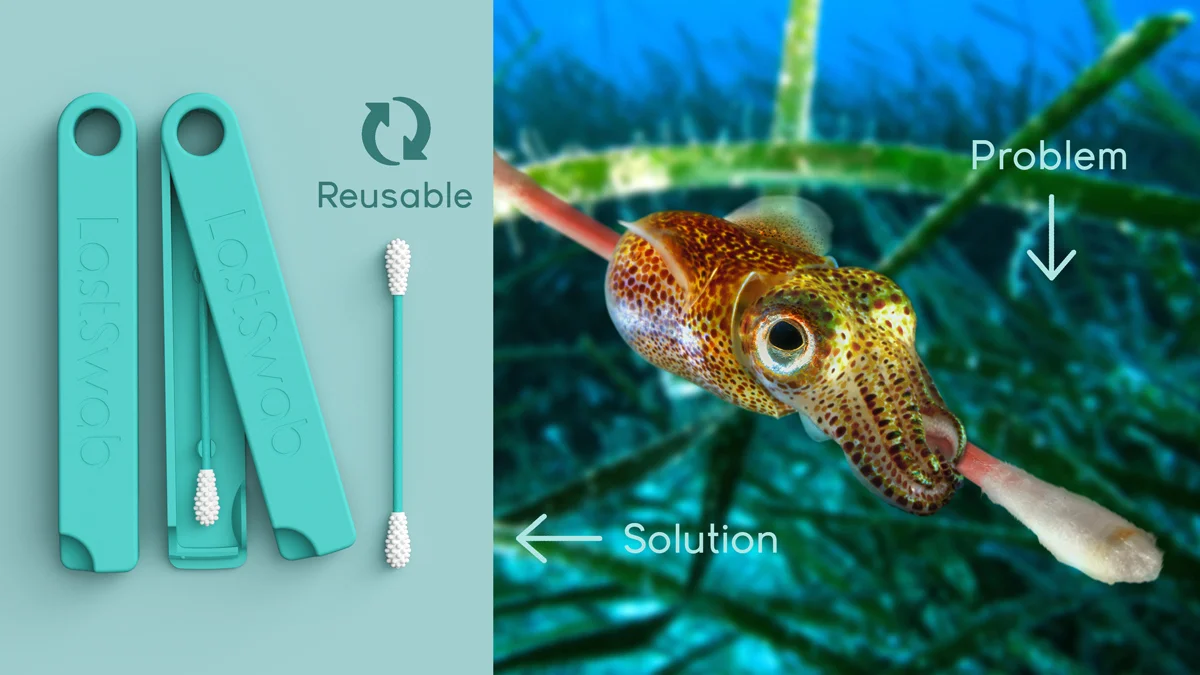 1-Swab-and-squid-1200x675.jpg