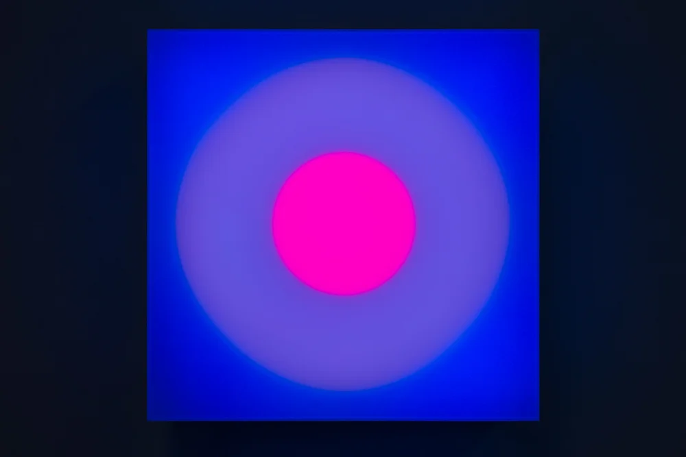 © Brian EnoOrchal2019, LED lights, Perspex, wood, USB stick, 65 x 65 x 19 cm. Presented by Paul Stolper Gallery (London)