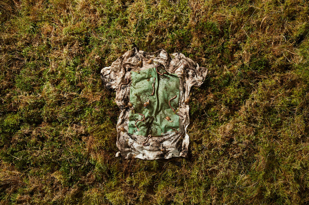 Vollebak's Plant And Algae T-Shirt Biodegrades Within 12 Weeks