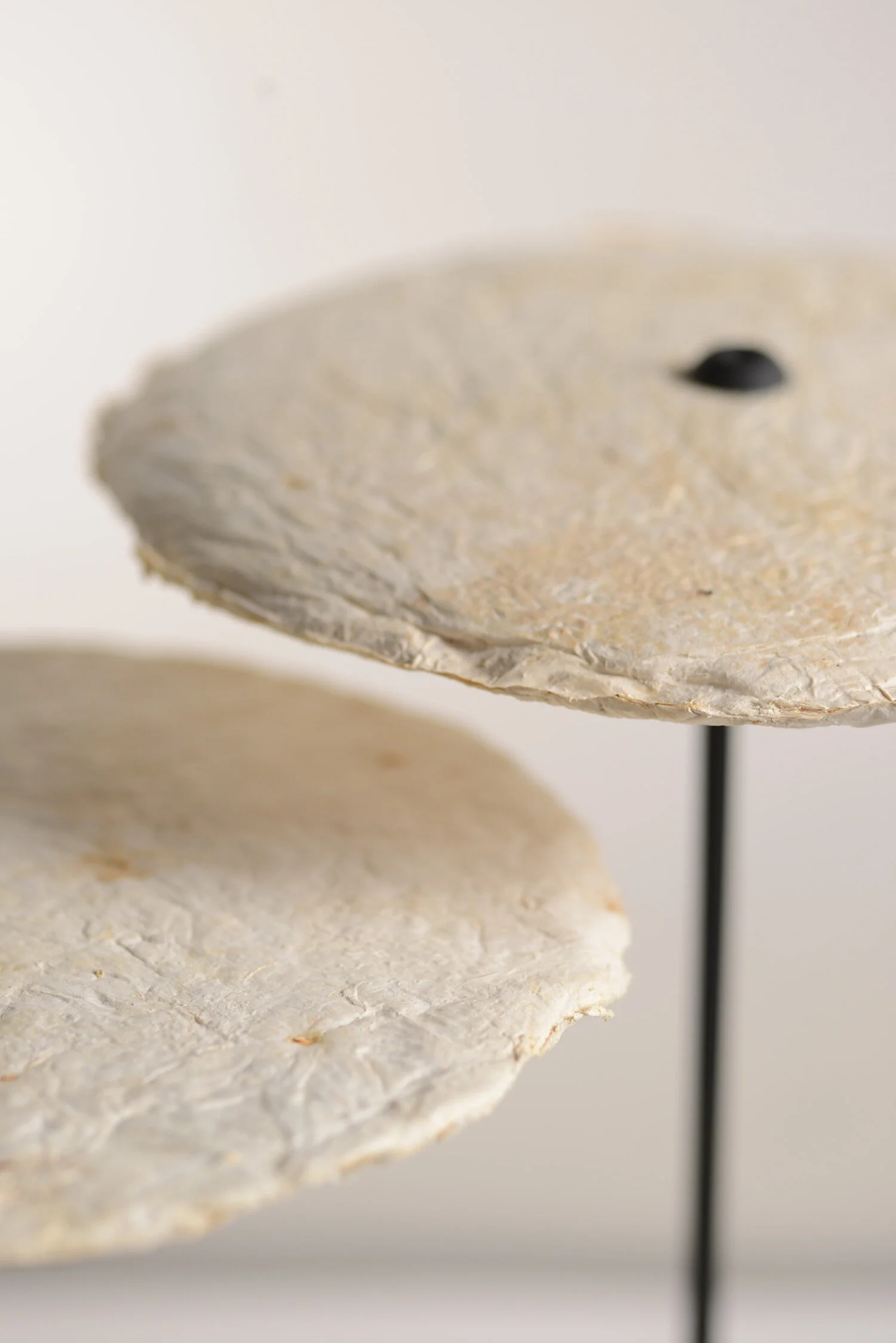 Mycelium Lights-Nir Meiri Studio-Visual Atelier 8-Design-5.jpg