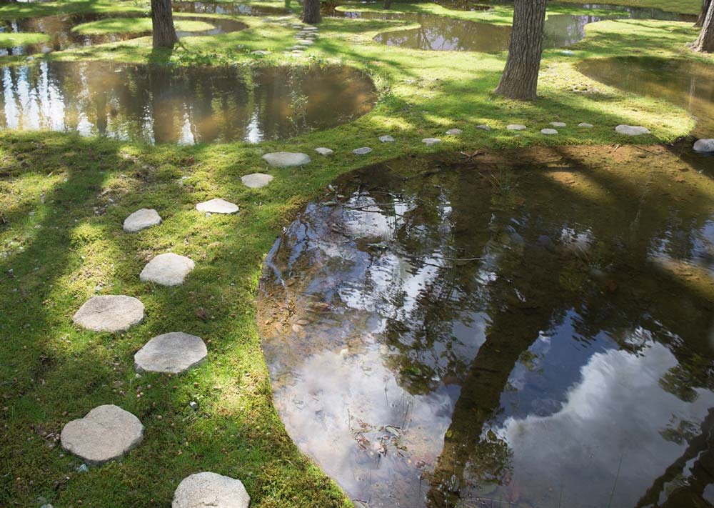 junya-ishigami-art-biotop-water-garden-visual atelier 8-2.jpg