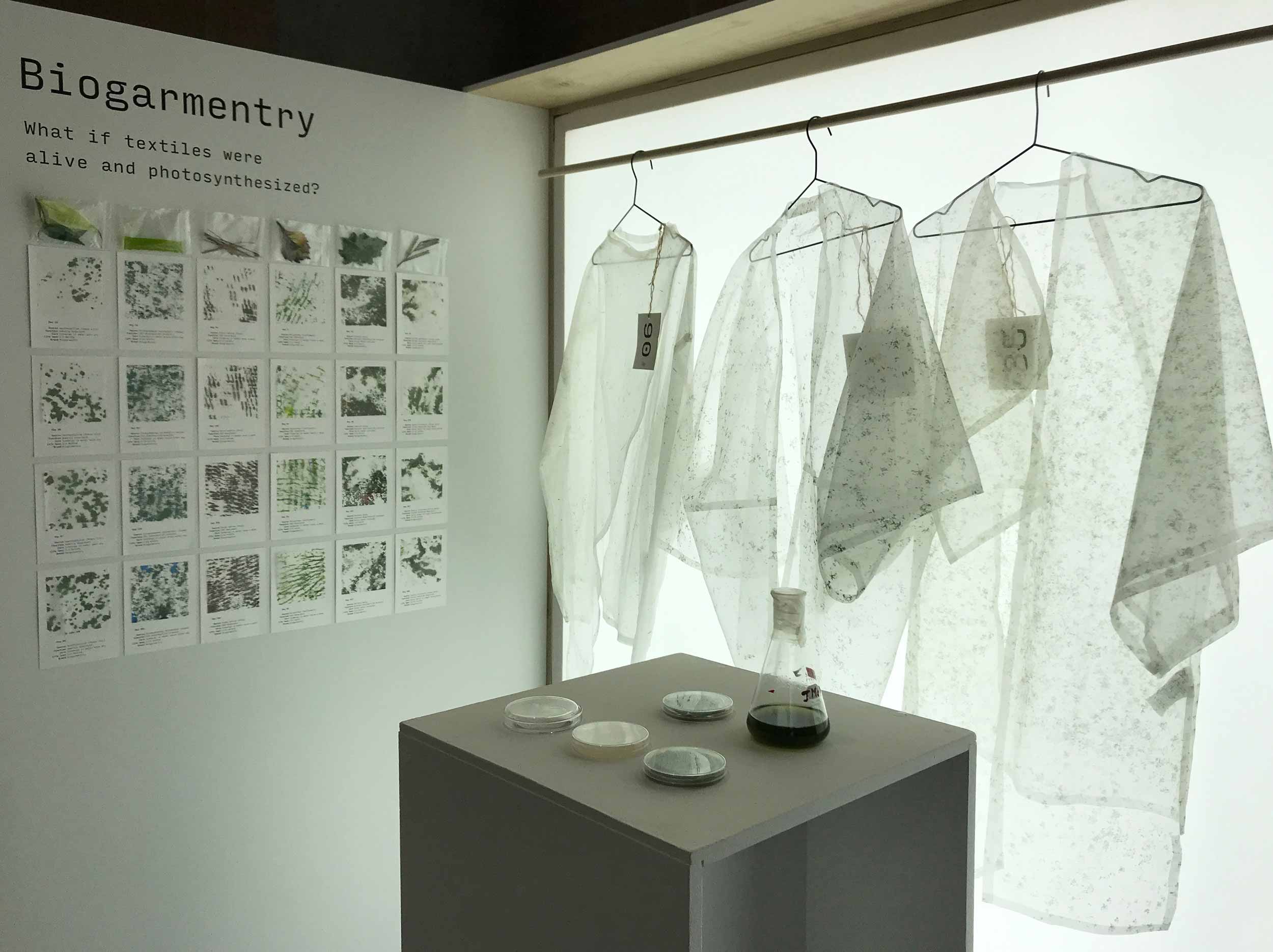 Roya Aghighi Creates  A Living Textile That Is Capable Of Photosynthesising