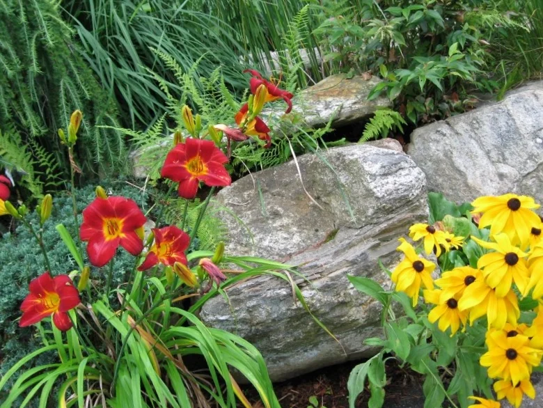 LANDSCAPING Testimonials