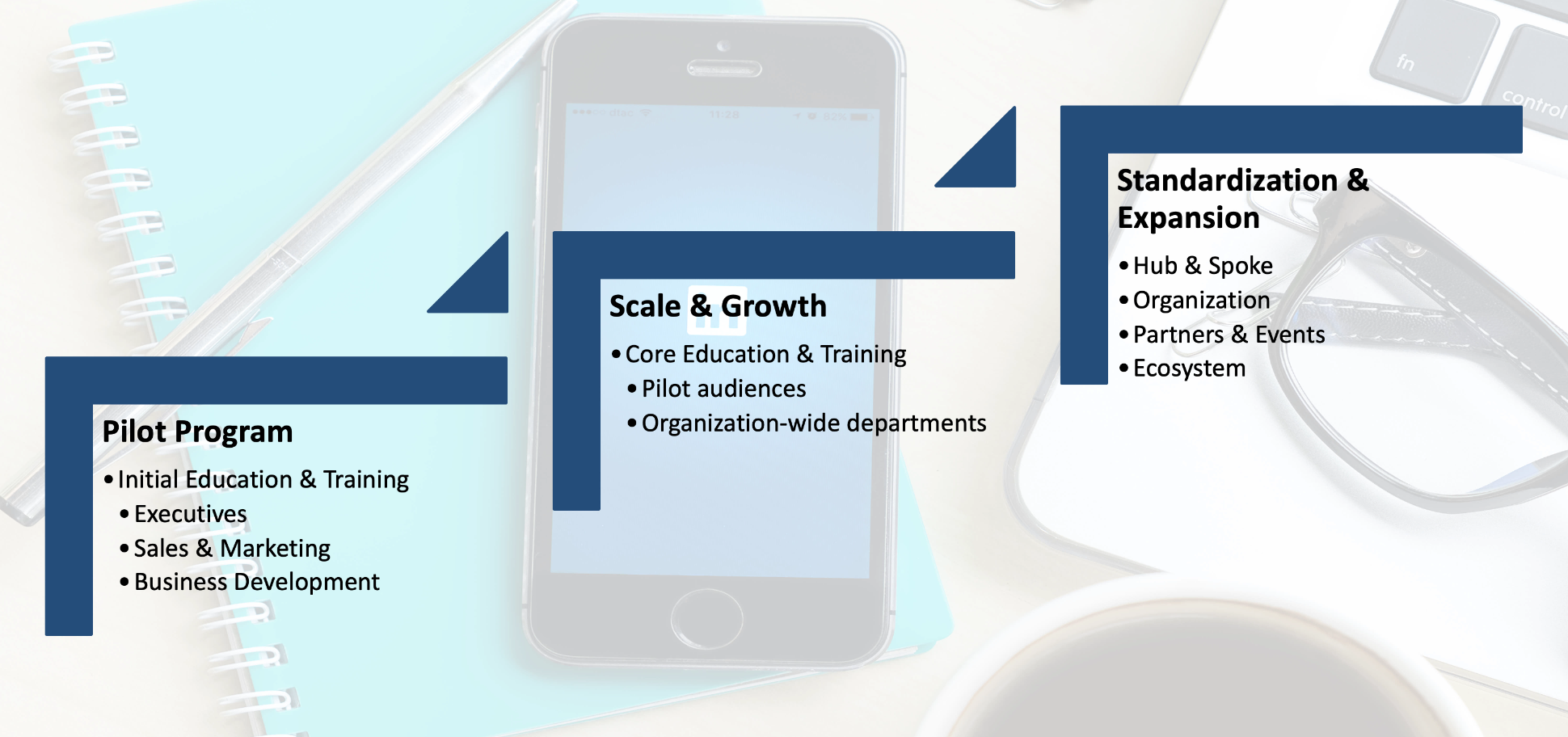 Social Business Pilot Programs