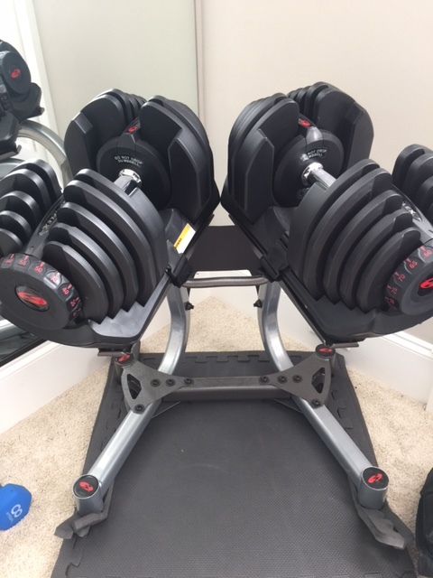 GymPic4.jpg