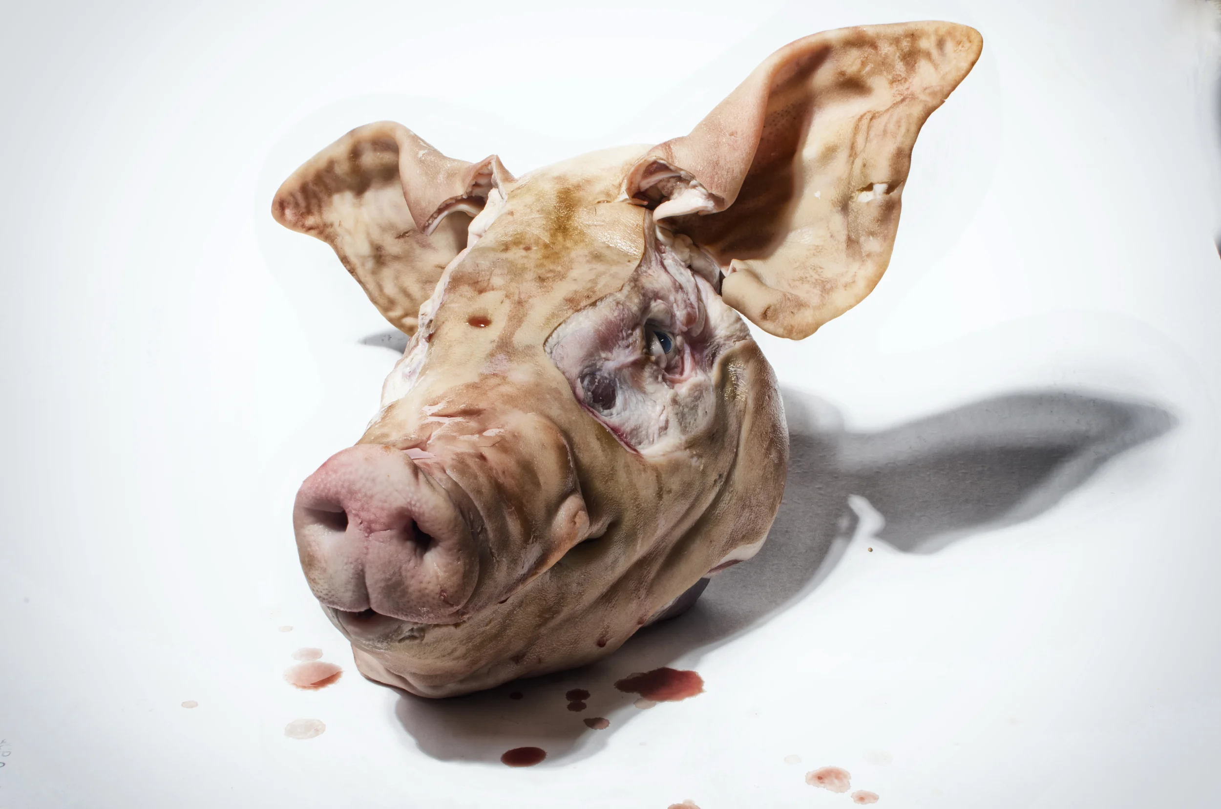 capture one imports0094-Recovered.jpg