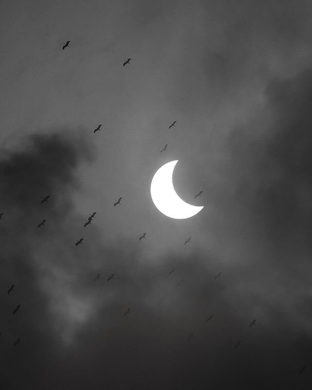 TURN AROUND. BRIGHT EYESSSSSSSS
&mdash;
#sgeclipse #solareclipse