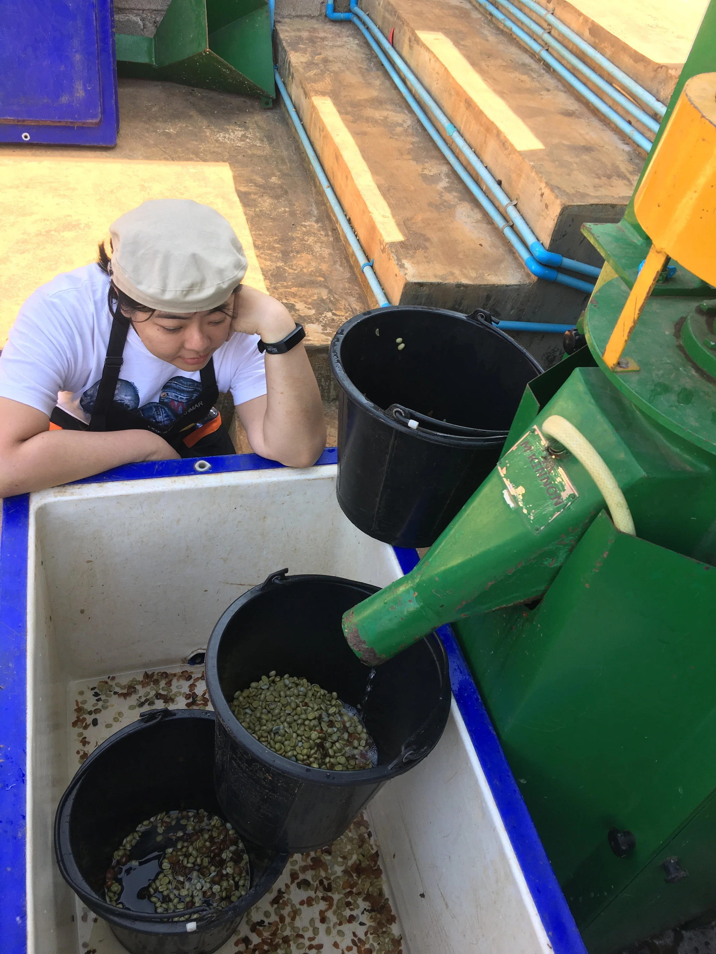 fermentation.jpg